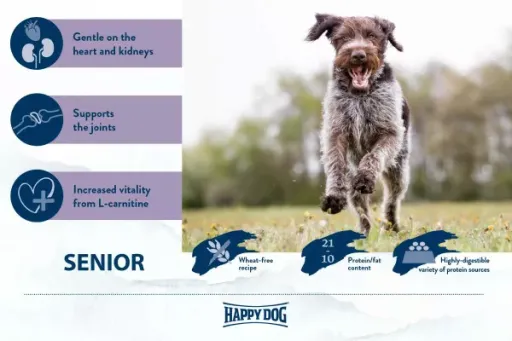 Happy Dog Pienso Supreme Para Perros Senior 7 Happy Dog Pienso Supreme Para Perros Senior - Imagen 5