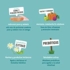 Pack 11 Edgard & Cooper Salmón Y Pavo Con Remolacha, Manzana Y Espinacas 10 Pack 11 Edgard & Cooper Salmón Y Pavo Con Remolacha, Manzana Y Espinacas -Suministros De Mascotas Ventas 2024 03 EdgardCooper ECommContent KeyIngredients AdultSalmonTurkeyWet 150g 62a8222dc815c g