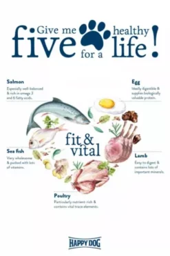 Happy Dog Pienso Light Para Perros Mini Con Pollo 11 Happy Dog Pienso Light Para Perros Mini Con Pollo -Suministros De Mascotas Ventas 2024 03 FV Give me five hoch ENGL 600x600 62dacff559e5f g