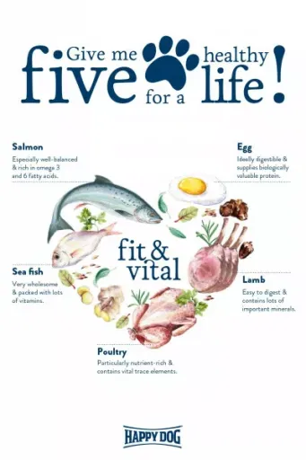 Happy Dog Pienso Light Para Perros Mini Con Pollo 7 Happy Dog Pienso Light Para Perros Mini Con Pollo - Imagen 5