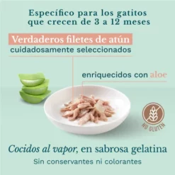Pack 14 Schesir Comida Húmeda De Atún Con Aloe En Gelatina Para Gatitos -Suministros De Mascotas Ventas 2024 03064100 8005856750330 V6 6389b60079d5b g