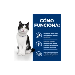 Hill's Pienso Prescription Diet I/d Digestive Care Para El Cuidado Digestivo En Gatos 14 Hill's Pienso Prescription Diet I/d Digestive Care Para El Cuidado Digestivo En Gatos -Suministros De Mascotas Ventas 2024 052742041049 3 62bd574edddae g