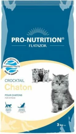 Flatazor Crocktail Kitten