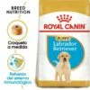Royal Canin Labrador Retriever Puppy Pienso Para Cachorro De Raza -Suministros De Mascotas Ventas 2024 112 1 0 g