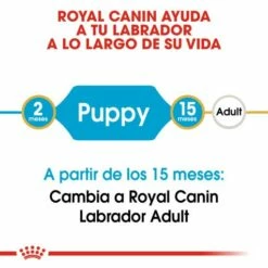 Royal Canin Labrador Retriever Puppy Pienso Para Cachorro De Raza 17 Royal Canin Labrador Retriever Puppy Pienso Para Cachorro De Raza -Suministros De Mascotas Ventas 2024 112 3 2 g
