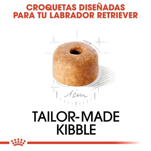 Royal Canin Labrador Retriever Puppy Pienso Para Cachorro De Raza 7 Royal Canin Labrador Retriever Puppy Pienso Para Cachorro De Raza - Imagen 5