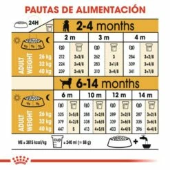 Royal Canin Labrador Retriever Puppy Pienso Para Cachorro De Raza 21 Royal Canin Labrador Retriever Puppy Pienso Para Cachorro De Raza -Suministros De Mascotas Ventas 2024 112 7 6 g