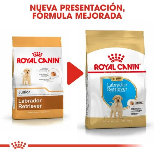 Royal Canin Labrador Retriever Puppy Pienso Para Cachorro De Raza 10 Royal Canin Labrador Retriever Puppy Pienso Para Cachorro De Raza - Imagen 8