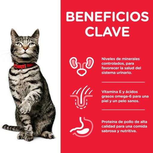 Hill's Pienso Science Plan Urinary Health Adult Para El Cuidado Del Tracto Urinario En Gatos 4 Hill's Pienso Science Plan Urinary Health Adult Para El Cuidado Del Tracto Urinario En Gatos - Imagen 2