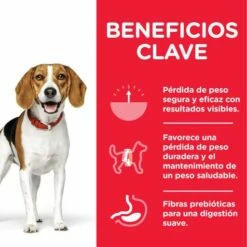 Hill's Pienso Science Plan Perfect Weight Medium Para El Control De Peso En Perros De Razas Medianas -Suministros De Mascotas Ventas 2024 114656 52742025209 4 6 g