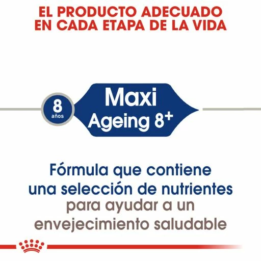Royal Canin Maxi Ageing 8+ Pienso Perro En Edad Avanzada De Razas Tamaño Grande 5 Royal Canin Maxi Ageing 8+ Pienso Perro En Edad Avanzada De Razas Tamaño Grande - Imagen 3