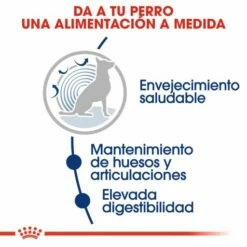 Royal Canin Maxi Ageing 8+ Pienso Perro En Edad Avanzada De Razas Tamaño Grande 13 Royal Canin Maxi Ageing 8+ Pienso Perro En Edad Avanzada De Razas Tamaño Grande -Suministros De Mascotas Ventas 2024 11792 3 3 g