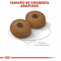 Royal Canin Maxi Ageing 8+ Pienso Perro En Edad Avanzada De Razas Tamaño Grande 14 Royal Canin Maxi Ageing 8+ Pienso Perro En Edad Avanzada De Razas Tamaño Grande -Suministros De Mascotas Ventas 2024 11792 4 4 g