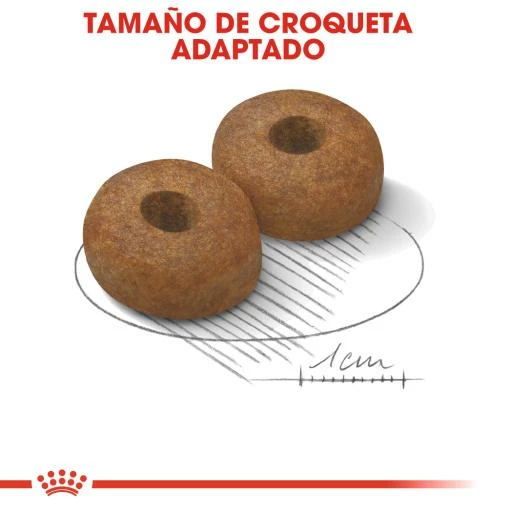 Royal Canin Maxi Ageing 8+ Pienso Perro En Edad Avanzada De Razas Tamaño Grande 7 Royal Canin Maxi Ageing 8+ Pienso Perro En Edad Avanzada De Razas Tamaño Grande - Imagen 5