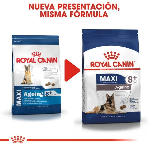 Royal Canin Maxi Ageing 8+ Pienso Perro En Edad Avanzada De Razas Tamaño Grande 9 Royal Canin Maxi Ageing 8+ Pienso Perro En Edad Avanzada De Razas Tamaño Grande - Imagen 7