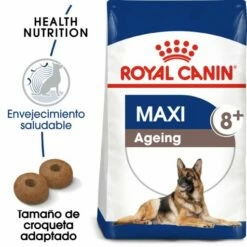 Royal Canin Maxi Ageing 8+ Pienso Perro En Edad Avanzada De Razas Tamaño Grande