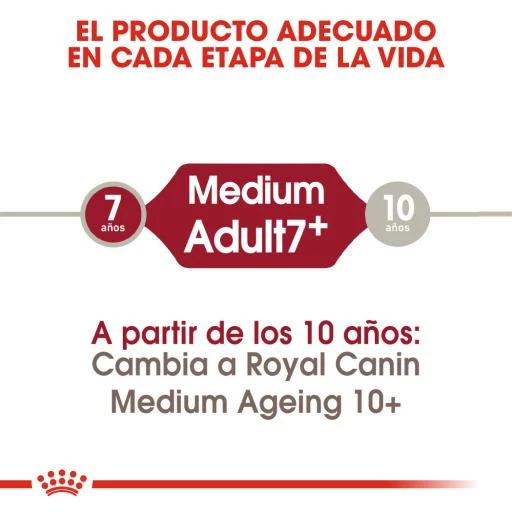 Royal Canin Medium Adult 7+ Pienso Para Perro Sénior De Razas Tamaño Mediano 5 Royal Canin Medium Adult 7+ Pienso Para Perro Sénior De Razas Tamaño Mediano - Imagen 3
