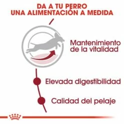 Royal Canin Medium Adult 7+ Pienso Para Perro Sénior De Razas Tamaño Mediano 13 Royal Canin Medium Adult 7+ Pienso Para Perro Sénior De Razas Tamaño Mediano -Suministros De Mascotas Ventas 2024 11794 4 3 g