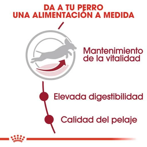 Royal Canin Medium Adult 7+ Pienso Para Perro Sénior De Razas Tamaño Mediano 6 Royal Canin Medium Adult 7+ Pienso Para Perro Sénior De Razas Tamaño Mediano - Imagen 4