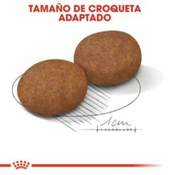 Royal Canin Medium Adult 7+ Pienso Para Perro Sénior De Razas Tamaño Mediano 14 Royal Canin Medium Adult 7+ Pienso Para Perro Sénior De Razas Tamaño Mediano -Suministros De Mascotas Ventas 2024 11794 5 4 g