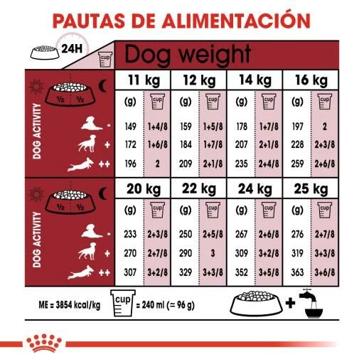 Royal Canin Medium Adult 7+ Pienso Para Perro Sénior De Razas Tamaño Mediano 8 Royal Canin Medium Adult 7+ Pienso Para Perro Sénior De Razas Tamaño Mediano - Imagen 6