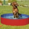 Flamingo Piscina Doggy 2 Flamingo Piscina Doggy -Suministros De Mascotas Ventas 2024 118184 4016598318867 1 g