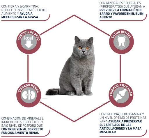 Advance Pienso Para Gato Sénior Esterilizado +10 5 Advance Pienso Para Gato Sénior Esterilizado +10 - Imagen 3