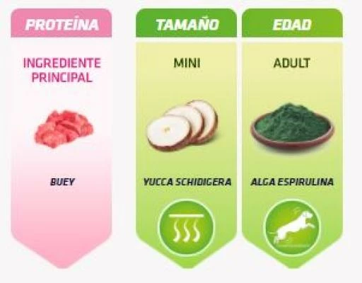 Trainer Pienso Natural Buey Para Perro Adulto Mini 6 Trainer Pienso Natural Buey Para Perro Adulto Mini - Imagen 4