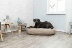 Trixie Cojín Ortopédico Vital Outbag Arena 18 Trixie Cojín Ortopédico Vital Outbag Arena -Suministros De Mascotas Ventas 2024 1200x798 64d35f7d40b0b g