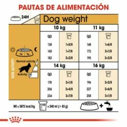 Royal Canin Cocker Adult Pienso Para Perro Adulto De Raza -Suministros De Mascotas Ventas 2024 145 8 6 g