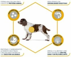 Advance Pienso Sensitive De Arroz Y Salmón Para Perro Medium Maxi 13 Advance Pienso Sensitive De Arroz Y Salmón Para Perro Medium Maxi -Suministros De Mascotas Ventas 2024 147513 3 3 4 g