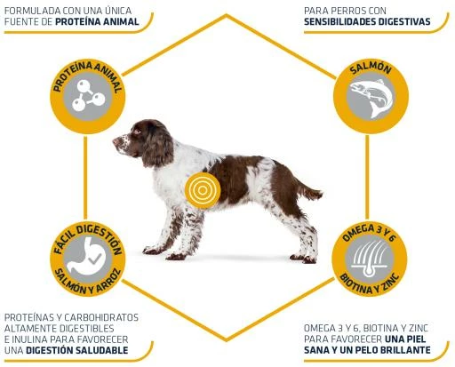 Advance Pienso Sensitive De Arroz Y Salmón Para Perro Medium Maxi 7 Advance Pienso Sensitive De Arroz Y Salmón Para Perro Medium Maxi - Imagen 5