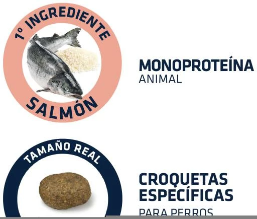 Advance Pienso Sensitive De Arroz Y Salmón Para Perro Medium Maxi 8 Advance Pienso Sensitive De Arroz Y Salmón Para Perro Medium Maxi - Imagen 6