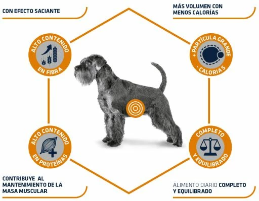 Advance Pienso Diets Dog Weight Balance Para Perro Medium Maxi 5 Advance Pienso Diets Dog Weight Balance Para Perro Medium Maxi - Imagen 3