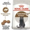 Royal Canin Ageing 12+ Sterilised Pienso Para Gato De Edad Avanzada Esterilizado -Suministros De Mascotas Ventas 2024 15327 0 g