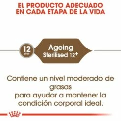 Royal Canin Ageing 12+ Sterilised Pienso Para Gato De Edad Avanzada Esterilizado 13 Royal Canin Ageing 12+ Sterilised Pienso Para Gato De Edad Avanzada Esterilizado -Suministros De Mascotas Ventas 2024 15327 1 g