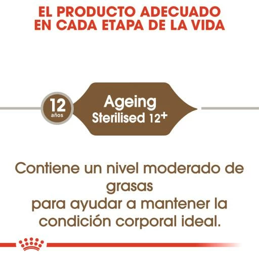 Royal Canin Ageing 12+ Sterilised Pienso Para Gato De Edad Avanzada Esterilizado 5 Royal Canin Ageing 12+ Sterilised Pienso Para Gato De Edad Avanzada Esterilizado - Imagen 3