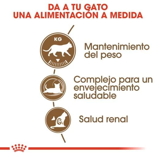 Royal Canin Ageing 12+ Sterilised Pienso Para Gato De Edad Avanzada Esterilizado 6 Royal Canin Ageing 12+ Sterilised Pienso Para Gato De Edad Avanzada Esterilizado - Imagen 4