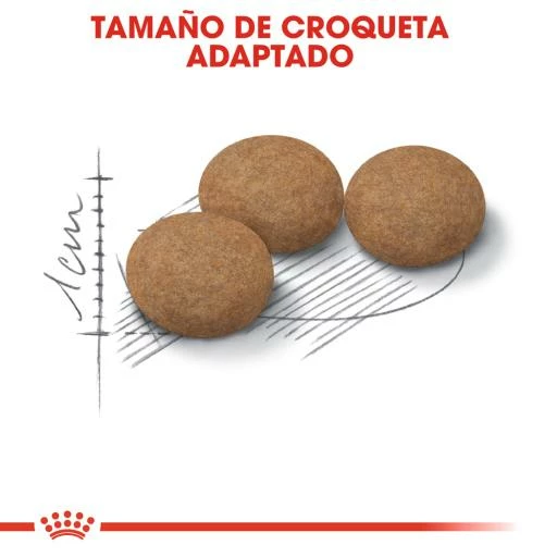 Royal Canin Ageing 12+ Sterilised Pienso Para Gato De Edad Avanzada Esterilizado 7 Royal Canin Ageing 12+ Sterilised Pienso Para Gato De Edad Avanzada Esterilizado - Imagen 5