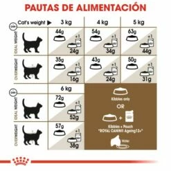 Royal Canin Ageing 12+ Sterilised Pienso Para Gato De Edad Avanzada Esterilizado 16 Royal Canin Ageing 12+ Sterilised Pienso Para Gato De Edad Avanzada Esterilizado -Suministros De Mascotas Ventas 2024 15327 4 g