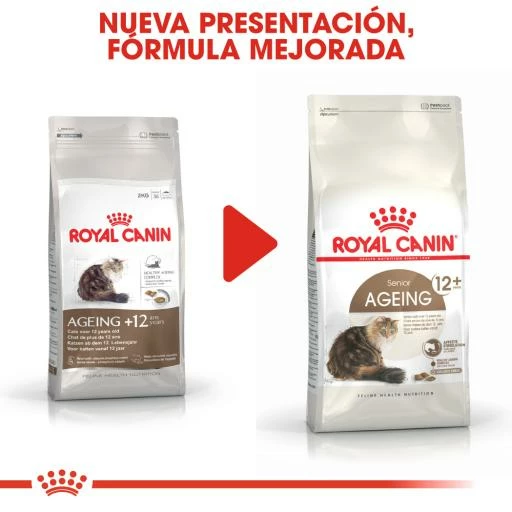 Royal Canin Ageing 12+ Sterilised Pienso Para Gato De Edad Avanzada Esterilizado 10 Royal Canin Ageing 12+ Sterilised Pienso Para Gato De Edad Avanzada Esterilizado - Imagen 8