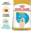 Royal Canin Golden Retriever Puppy Pienso Para Cachorro De Raza -Suministros De Mascotas Ventas 2024 155 1 0 g