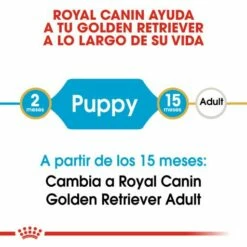 Royal Canin Golden Retriever Puppy Pienso Para Cachorro De Raza -Suministros De Mascotas Ventas 2024 155 3 2 g