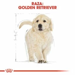 Royal Canin Golden Retriever Puppy Pienso Para Cachorro De Raza -Suministros De Mascotas Ventas 2024 155 6 5 g