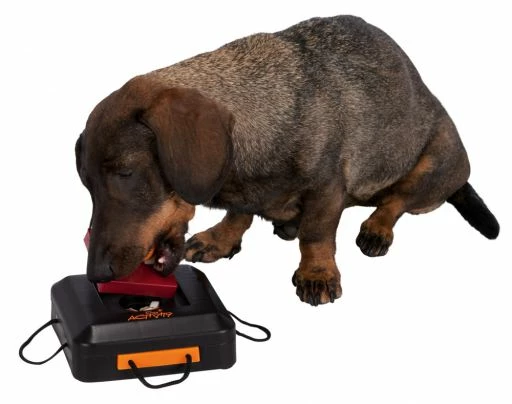 Trixie Dog Activity Gamble Box Nivel 1 6 Trixie Dog Activity Gamble Box Nivel 1 - Imagen 4