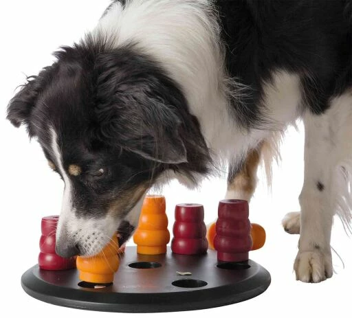 Trixie Dog Activity Solitaire 5 Trixie Dog Activity Solitaire - Imagen 3