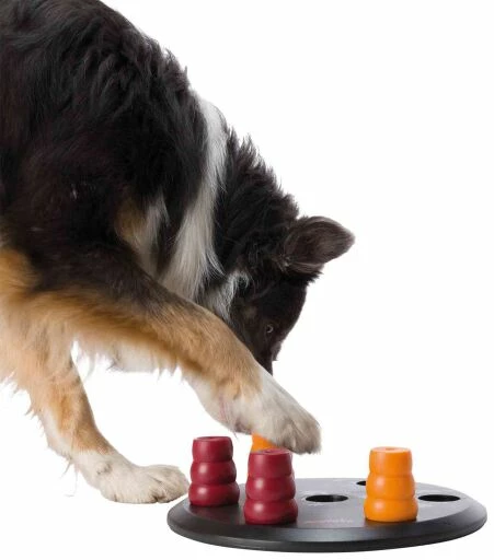 Trixie Dog Activity Solitaire 6 Trixie Dog Activity Solitaire - Imagen 4