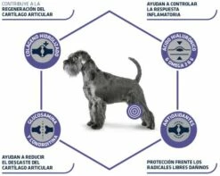 Advance Pienso Diets Articular Para Perro 14 Advance Pienso Diets Articular Para Perro -Suministros De Mascotas Ventas 2024 160877 3 4 g