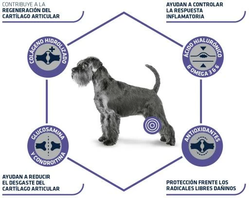Advance Pienso Diets Articular Para Perro 6 Advance Pienso Diets Articular Para Perro - Imagen 4