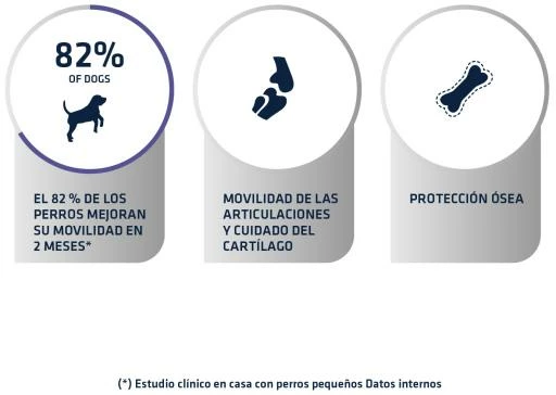 Advance Pienso Diets Articular Para Perro 7 Advance Pienso Diets Articular Para Perro - Imagen 5